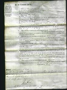 Court of Common Pleas - Elizabeth Goodman-Original Ancestry