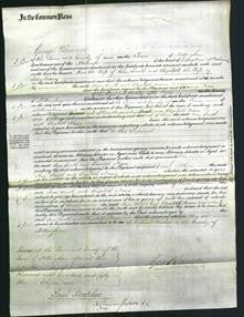 Court of Common Pleas - Ann Smith and Elizabeth Nixon-Original Ancestry