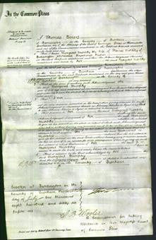 Court of Common Pleas - Margaret Murphy-Original Ancestry