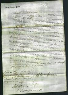 Court of Common Pleas - Ann Smith-Original Ancestry