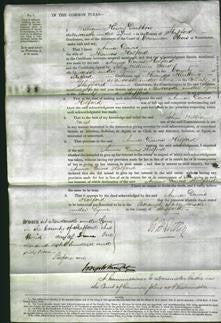 Court of Common Pleas - Anna Davis Holford-Original Ancestry