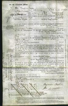 Court of Common Pleas - Elizabeth Nicholson-Original Ancestry