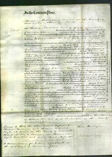 Court of Common Pleas - Rebecca Ann Ingram-Original Ancestry
