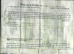 Deed by Married Women - Mary Mills-Original Ancestry