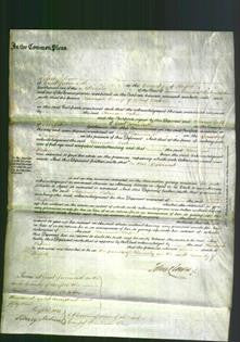 Court of Common Pleas - Hannah Watson-Original Ancestry