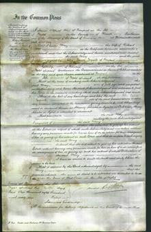Court of Common Pleas - Mary Pittis-Original Ancestry