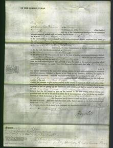 Court of Common Pleas - Mary Ann Bryant-Original Ancestry