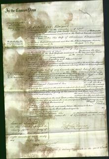 Court of Common Pleas - Betty Baxandall-Original Ancestry