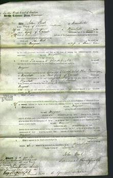 Court of Common Pleas - Margaret Currie-Original Ancestry