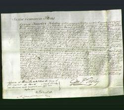 Court of Common Pleas - Sarah Metcher