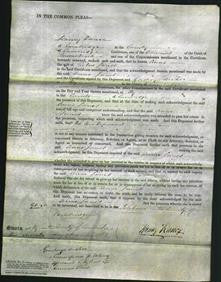 Court of Common Pleas - Anne James-Original Ancestry