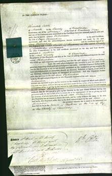 Court of Common Pleas - Ann Richardson-Original Ancestry