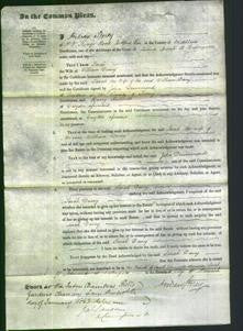 Court of Common Pleas - Sarah Davey-Original Ancestry