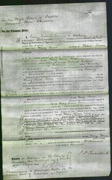 Court of Common Pleas - Mary Anne Jones-Original Ancestry