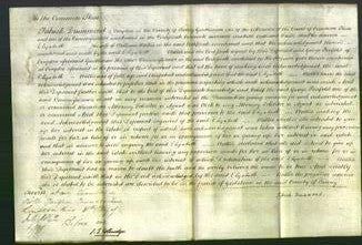 Court of Common Pleas - Elizabeth Wallis-Original Ancestry