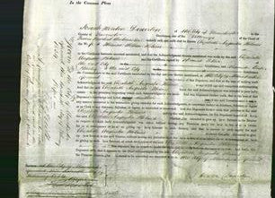 Court of Common Pleas - Elizabeth Augusta Holmes-Original Ancestry