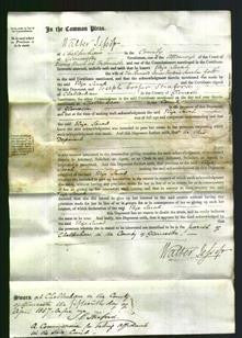 Court of Common Pleas - Eliza Sarah Gabb-Original Ancestry