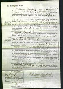 Court of Common Pleas - Elizabeth Ryland Guyton-Original Ancestry