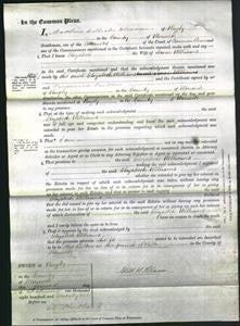 Court of Common Pleas - Elizabeth Williams-Original Ancestry