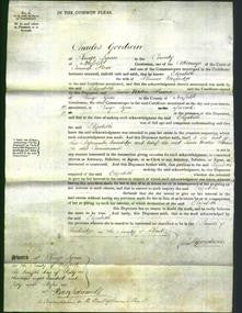 Court of Common Pleas - Elizabeth Mugridge-Original Ancestry