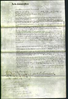 Court of Common Pleas - Mary Anne Mason-Original Ancestry