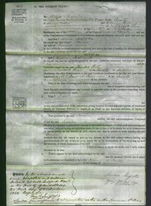 Court of Common Pleas - Jemima Bullock-Original Ancestry