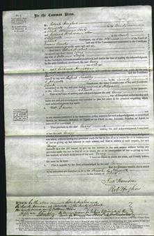 Court of Common Pleas - Mary Lloyd-Original Ancestry