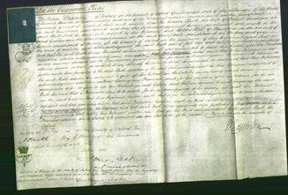 Court of Common Pleas - Ruth Andrews-Original Ancestry