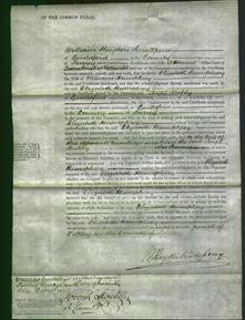 Court of Common Pleas - Elizabeth Humphrey-Original Ancestry