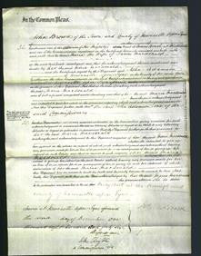 Court of Common Pleas - Maria Macdonald-Original Ancestry