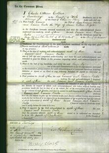 Court of Common Pleas - Emma Weeks and Emma Rossiter-Original Ancestry