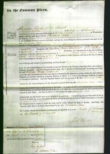 Court of Common Pleas - Barbara Ann Dowding-Original Ancestry