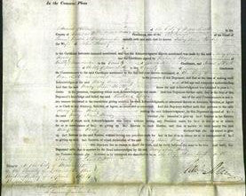 Court of Common Pleas - Mary Ann Pooley-Original Ancestry