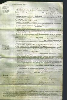 Court of Common Pleas - Martha Snell-Original Ancestry