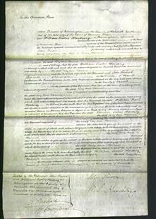 Court of Common Pleas - Lucy Ann Hanmer-Original Ancestry