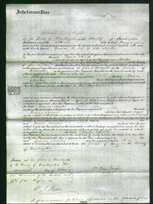 Court of Common Pleas - Frances Martin-Original Ancestry