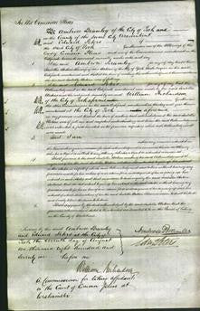 Court of Common Pleas - Isabella Watson-Original Ancestry