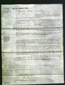 Court of Common Pleas - Clara Mendham Lacy-Original Ancestry