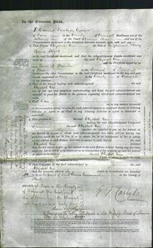 Court of Common Pleas- Elizabeth Ann Slight-Original Ancestry