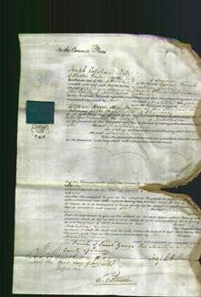 Court of Common Pleas - Matilda Lervin-Original Ancestry