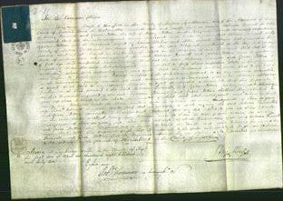 Court of Common Pleas - Rebecca Funnell and Grace Potten-Original Ancestry