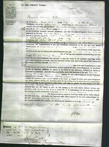 Court of Common Pleas - Frances Mary Brune-Original Ancestry