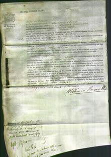 Court of Common Pleas - Augusta Sophia Sylvester-Original Ancestry