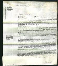 Court of Common Pleas - Maria Trotter-Original Ancestry