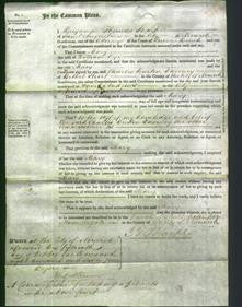 Court of Common Pleas - Mary Dye-Original Ancestry