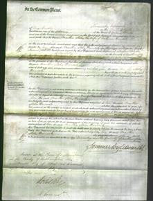 Court of Common Pleas - Martha Stokes Stanforth-Original Ancestry
