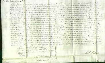 Court of Common Pleas - Maria Spence-Original Ancestry