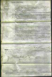 Court of Common Pleas - Frederica Wood-Original Ancestry