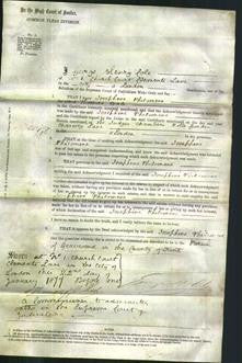 Court of Common Pleas - Josephine Philomene Langdon Bale-Original Ancestry