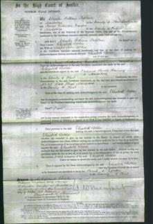 Court of Common Pleas - Elizabeth Dolder-Original Ancestry